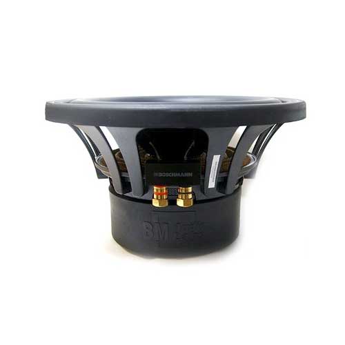 Subwoofer Boschmann de 10" 600W - BCALX102SP - Imagen 2