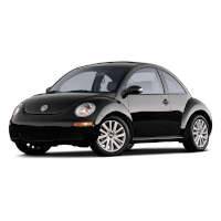 Beetle